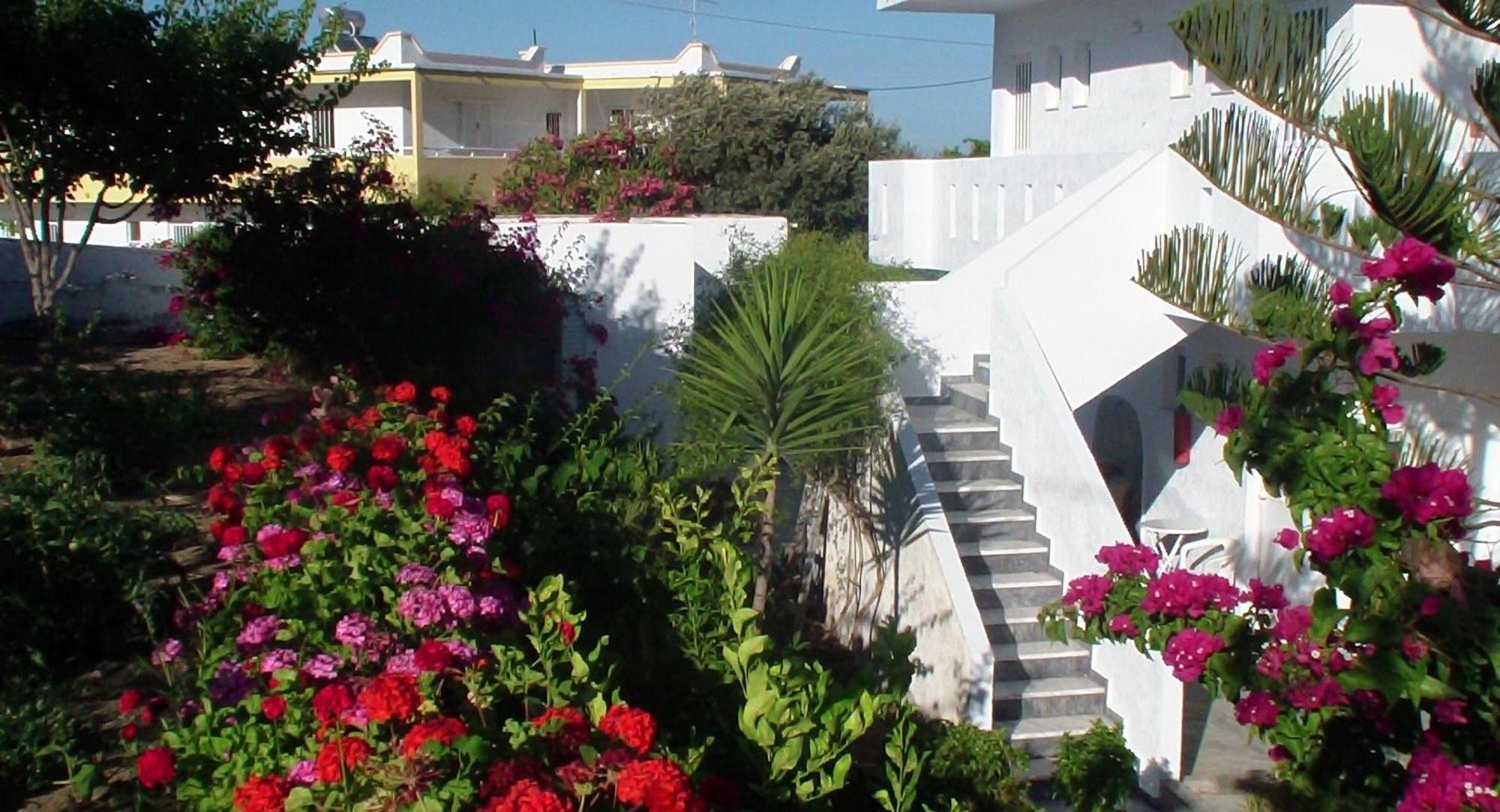 Creta Vassakis Studios Kefalos  Luaran gambar