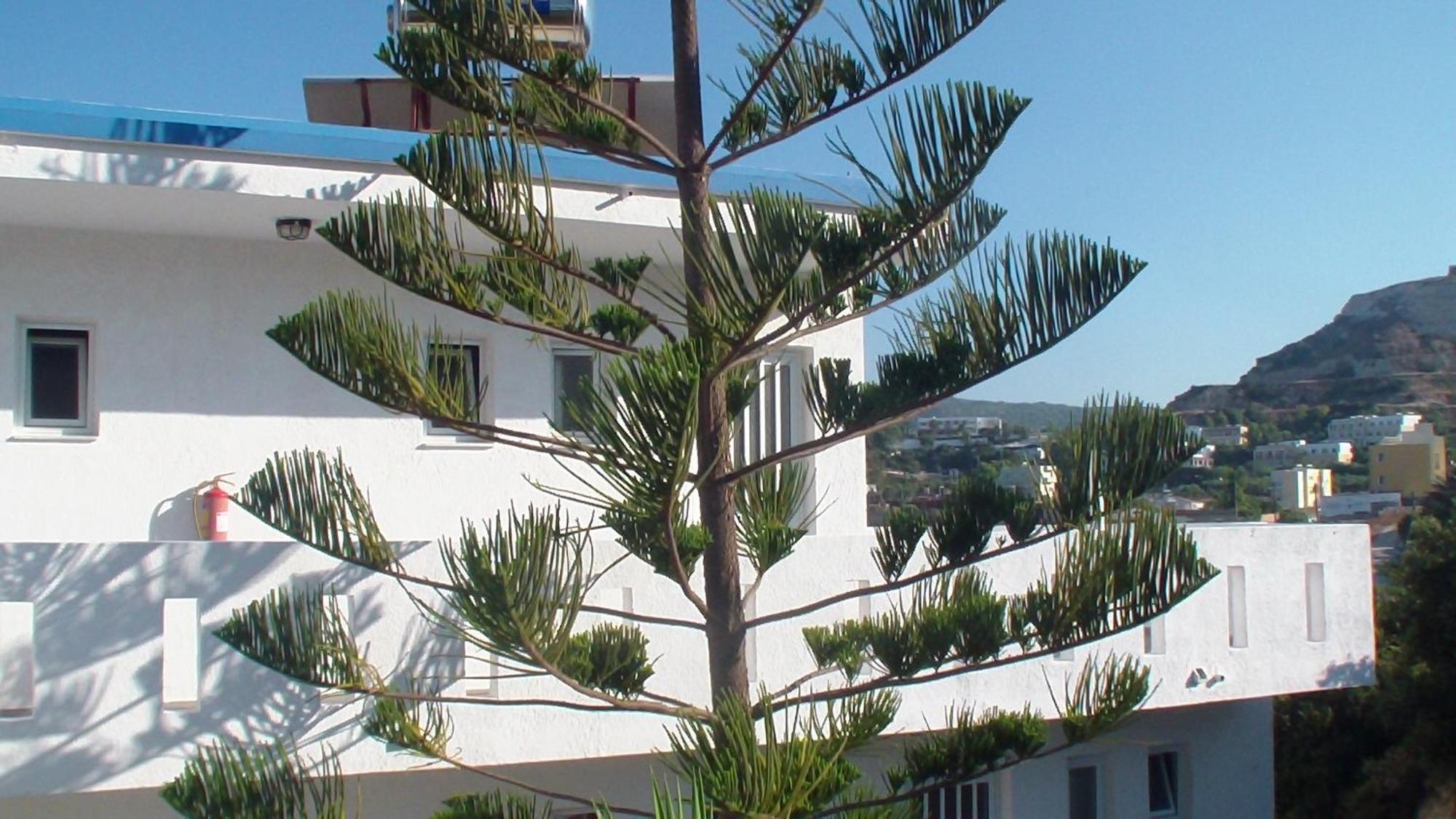 Creta Vassakis Studios Kefalos  Luaran gambar