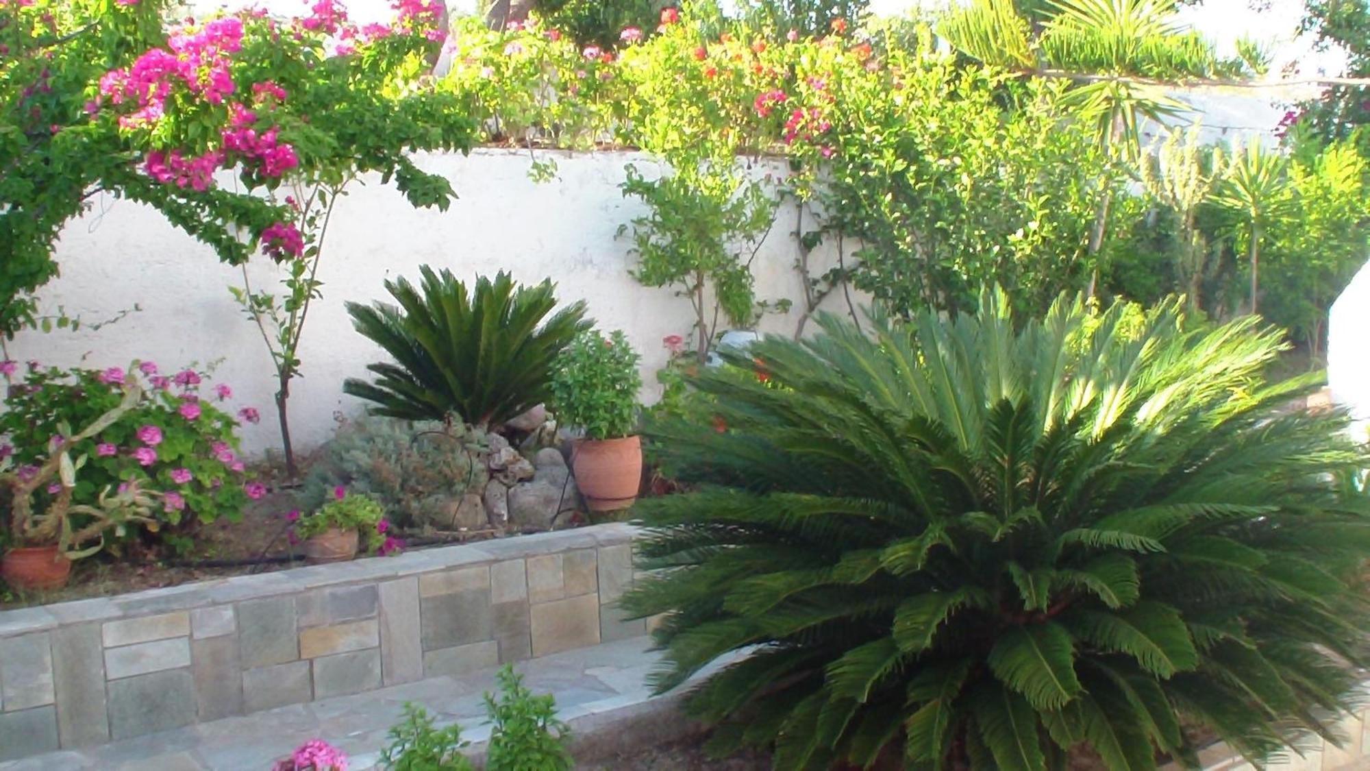 Creta Vassakis Studios Kefalos  Luaran gambar