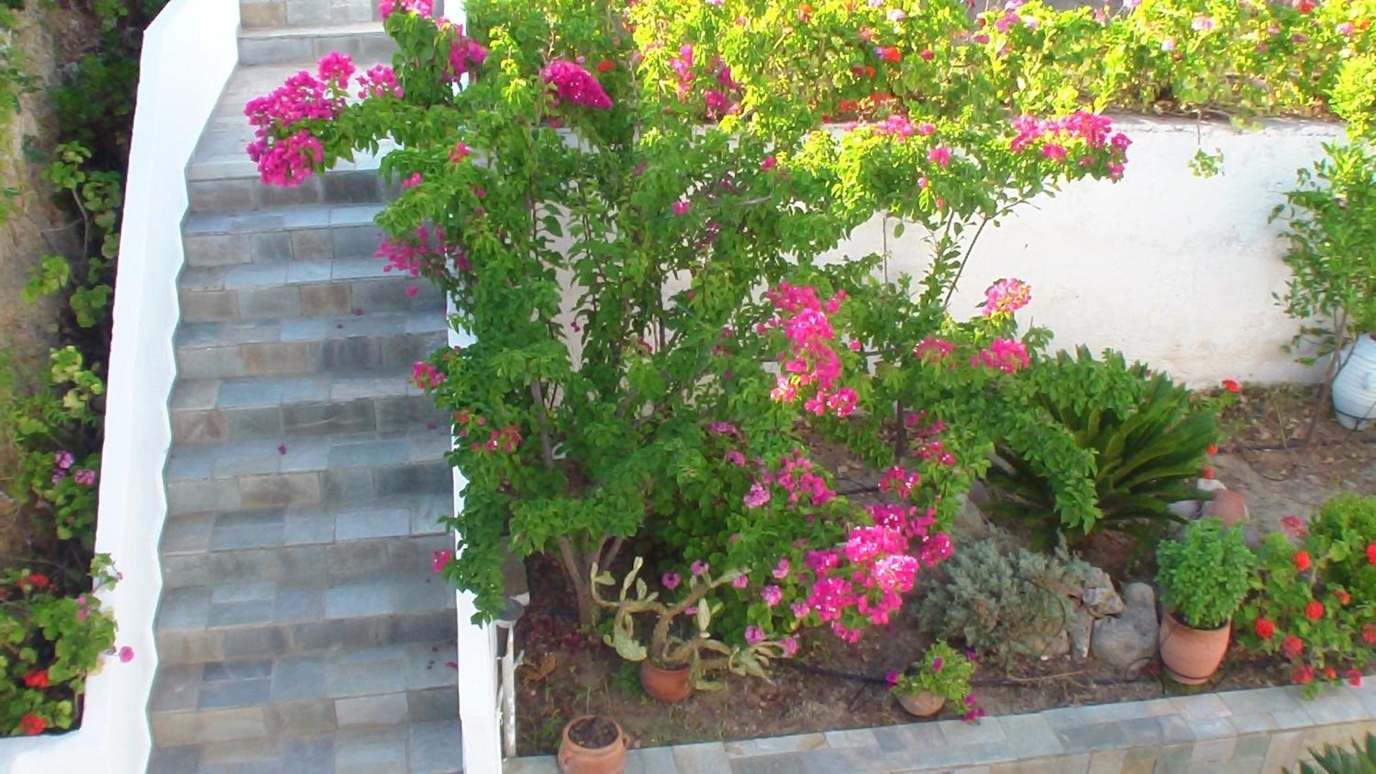 Creta Vassakis Studios Kefalos  Luaran gambar